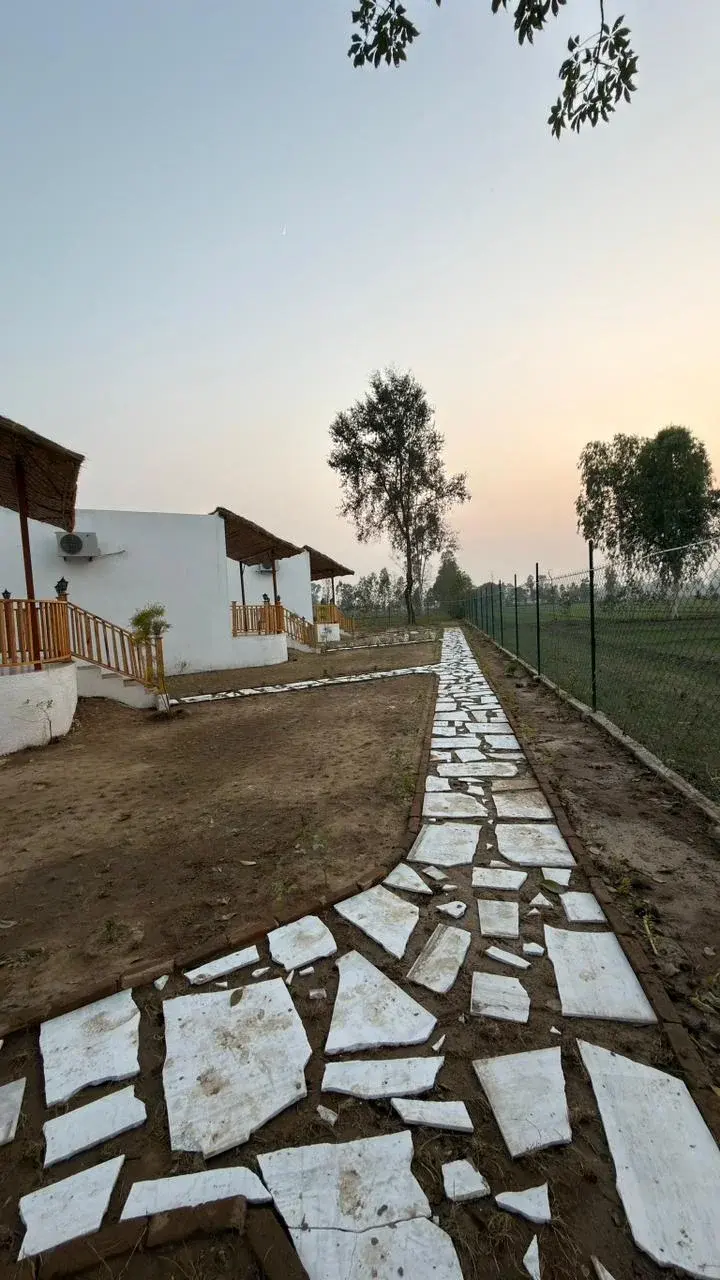 Double cottage- Owl Gallery 1