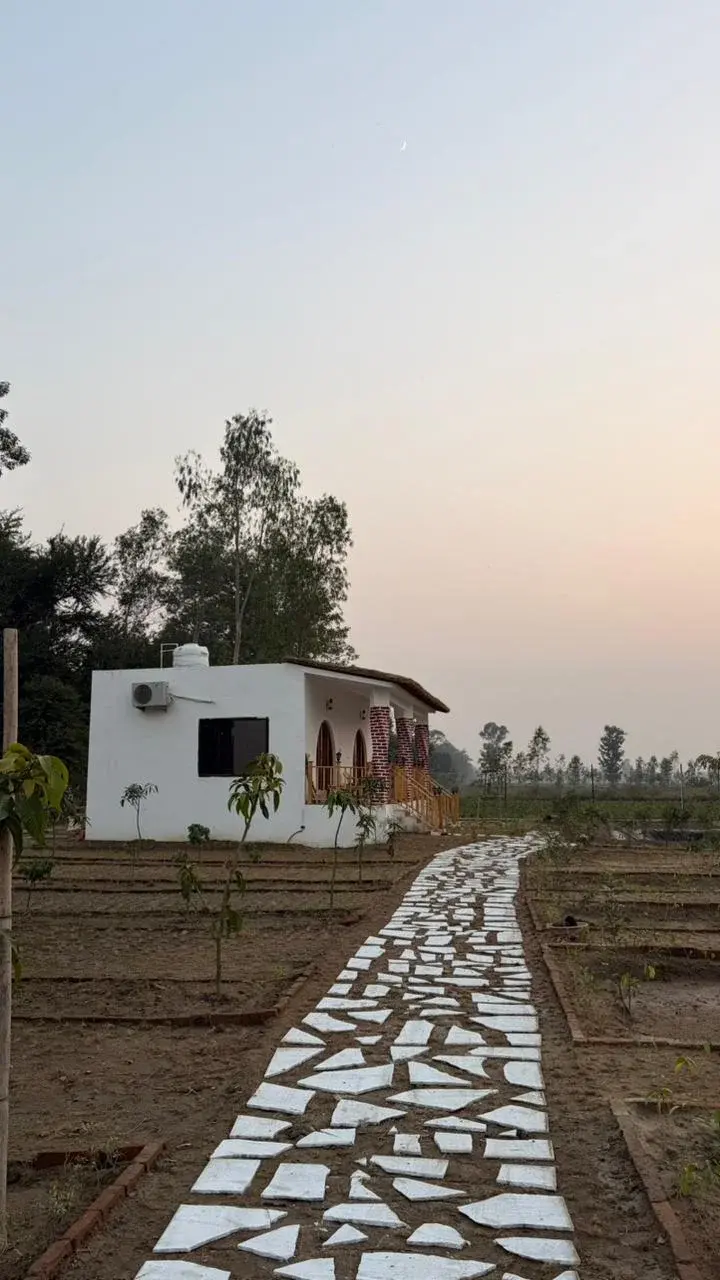 Double cottage- Owl Gallery 3