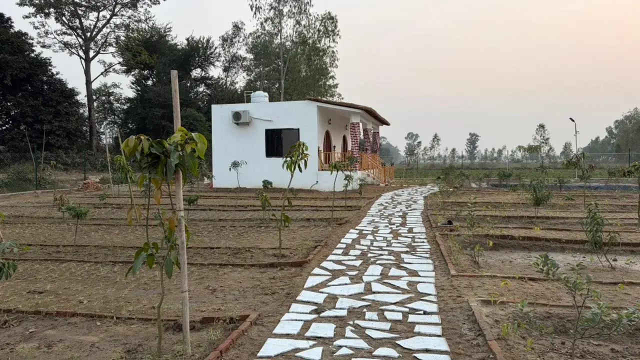 Double cottage- Owl Gallery 6